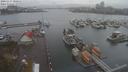 ./images/victoria/wharf/20201117/wharf20201117_120217.jpg