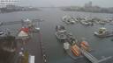 ./images/victoria/wharf/20210102/wharf20210102_135950.jpg