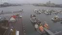 ./images/victoria/wharf/20210105/wharf20210105_135950.jpg