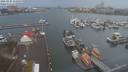 ./images/victoria/wharf/20210105/wharf20210105_155954.jpg