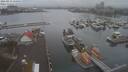 ./images/victoria/wharf/20210111/wharf20210111_135953.jpg