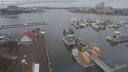 ./images/victoria/wharf/20210112/wharf20210112_135959.jpg