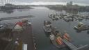 ./images/victoria/wharf/20210112/wharf20210112_155958.jpg