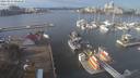 ./images/victoria/wharf/20210114/wharf20210114_122458.jpg
