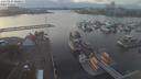 ./images/victoria/wharf/20210114/wharf20210114_160957.jpg