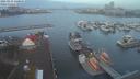 ./images/victoria/wharf/20210115/wharf20210115_080526.jpg