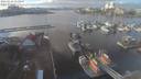./images/victoria/wharf/20210118/wharf20210118_135953.jpg