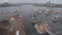 ./images/victoria/wharf/20210121/wharf20210121_115748.jpg