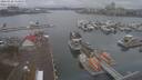 ./images/victoria/wharf/20210128/wharf20210128_115953.jpg