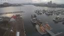 ./images/victoria/wharf/20210128/wharf20210128_155952.jpg