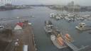 ./images/victoria/wharf/20210130/wharf20210130_095950.jpg