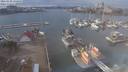./images/victoria/wharf/20210130/wharf20210130_135958.jpg