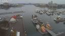./images/victoria/wharf/20210131/wharf20210131_095957.jpg