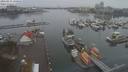 ./images/victoria/wharf/20210131/wharf20210131_135952.jpg