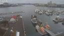 ./images/victoria/wharf/20210204/wharf20210204_115950.jpg