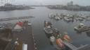 ./images/victoria/wharf/20210204/wharf20210204_155958.jpg