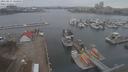 ./images/victoria/wharf/20210211/wharf20210211_155955.jpg