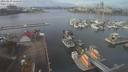./images/victoria/wharf/20210219/wharf20210219_115950.jpg