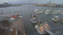 ./images/victoria/wharf/20210220/wharf20210220_115958.jpg