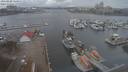 ./images/victoria/wharf/20210220/wharf20210220_135953.jpg