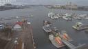 ./images/victoria/wharf/20210221/wharf20210221_115952.jpg