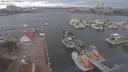 ./images/victoria/wharf/20210221/wharf20210221_135956.jpg
