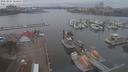 ./images/victoria/wharf/20210224/wharf20210224_155954.jpg