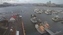 ./images/victoria/wharf/20210225/wharf20210225_135950.jpg