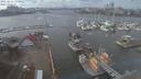 ./images/victoria/wharf/20210226/wharf20210226_135952.jpg