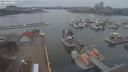 ./images/victoria/wharf/20210227/wharf20210227_155951.jpg