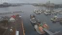 ./images/victoria/wharf/20210228/wharf20210228_095956.jpg
