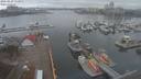 ./images/victoria/wharf/20210228/wharf20210228_115951.jpg