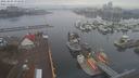 ./images/victoria/wharf/20210301/wharf20210301_075950.jpg