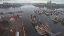 ./images/victoria/wharf/20210301/wharf20210301_095954.jpg