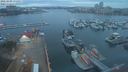 ./images/victoria/wharf/20210302/wharf20210302_175957.jpg