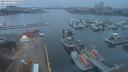 ./images/victoria/wharf/20210304/wharf20210304_175957.jpg