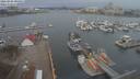 ./images/victoria/wharf/20210305/wharf20210305_095951.jpg