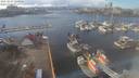 ./images/victoria/wharf/20210307/wharf20210307_135956.jpg