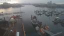 ./images/victoria/wharf/20210307/wharf20210307_175951.jpg