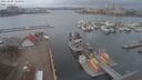 ./images/victoria/wharf/20210309/wharf20210309_115956.jpg
