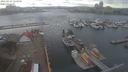 ./images/victoria/wharf/20210314/wharf20210314_155955.jpg