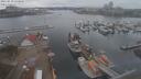 ./images/victoria/wharf/20210319/wharf20210319_155957.jpg