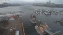 ./images/victoria/wharf/20210320/wharf20210320_155951.jpg