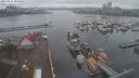 ./images/victoria/wharf/20210321/wharf20210321_095956.jpg