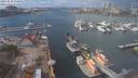 ./images/victoria/wharf/20210322/wharf20210322_135954.jpg