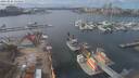 ./images/victoria/wharf/20210325/wharf20210325_135954.jpg
