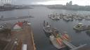 ./images/victoria/wharf/20210327/wharf20210327_075952.jpg