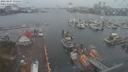 ./images/victoria/wharf/20210407/wharf20210407_155954.jpg
