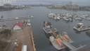 ./images/victoria/wharf/20210409/wharf20210409_095954.jpg
