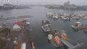 ./images/victoria/wharf/20210409/wharf20210409_135959.jpg